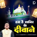 Hum Hai Sabir Ke Deewane