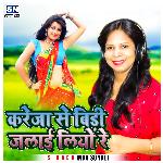 Kareja Se Biri Jalai Liyo Re