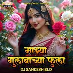 Mazya Gulabachya Fula DJ SANDESH BLD