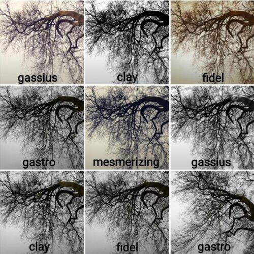 Mesmerizing cover art