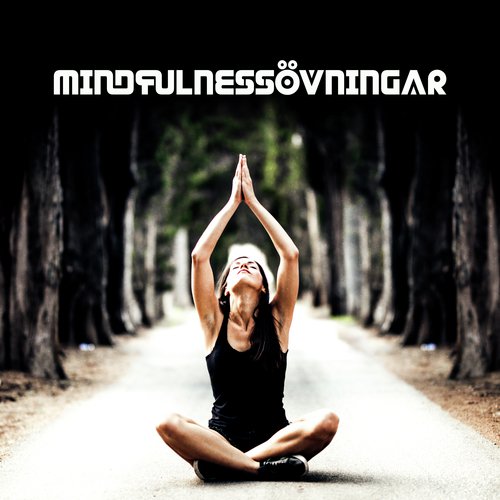 Andlig resa cover art