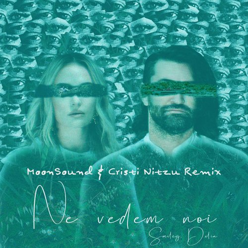 Ne vedem noi (Moonsound &amp; Cristi Nitzu Remix)_poster_image