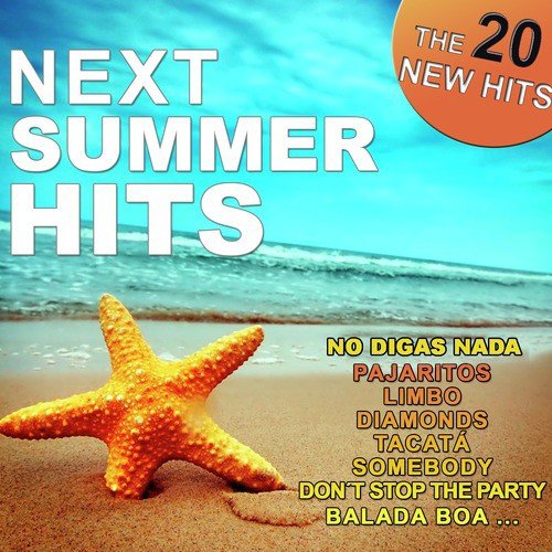 Next Summer Hits. The 20 New Hits.