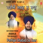 Parhiye Shabd Sa Saar artwork