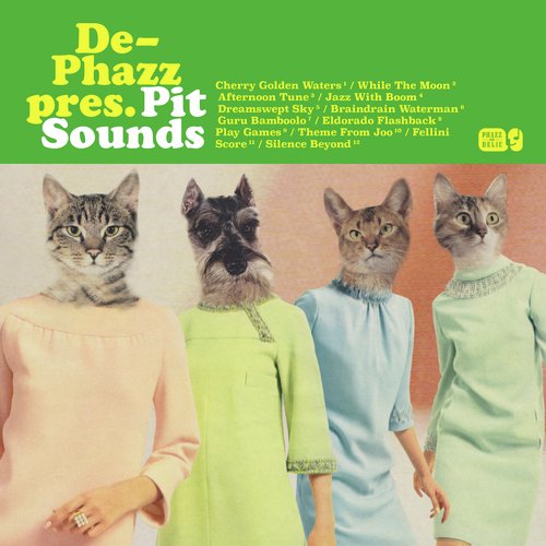 Pit Sounds_poster_image