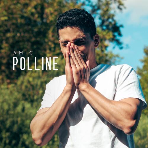 Polline_poster_image