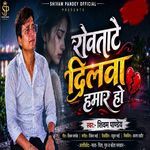 Rovatate Dilwa Hamar Ho