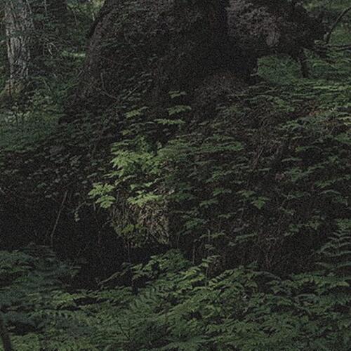 SoonI'llBeGone cover art