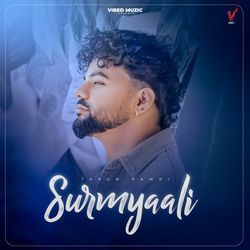 Surmyaali-JR1caRNAego