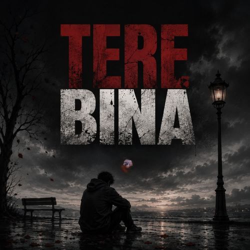 Tere Bina