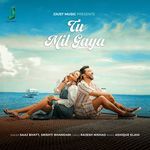 Tu mil gaya