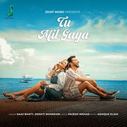 Tu mil gaya
