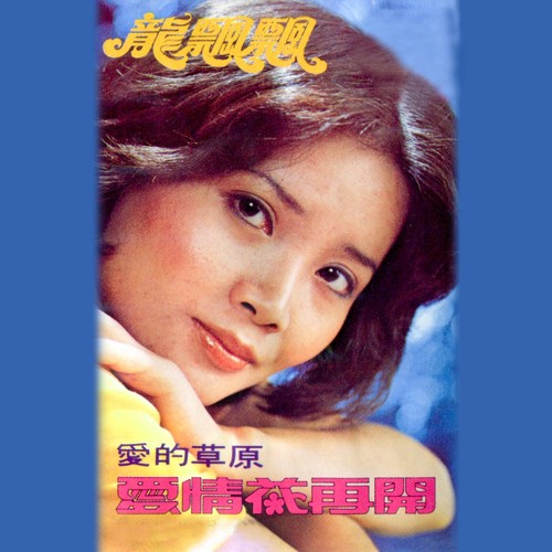 我家