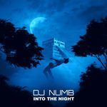 into the night (Radio Edition)