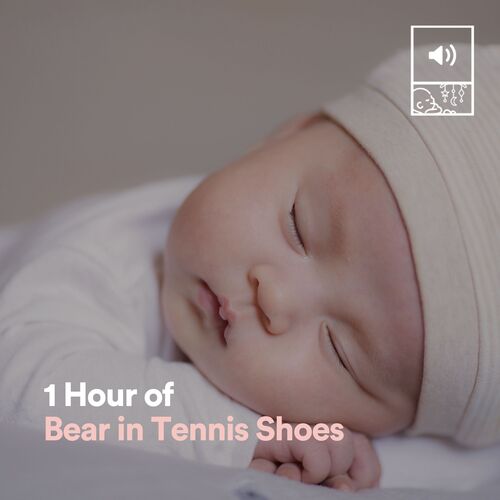 1 Hour of Bear in Tennis Shoes_poster_image