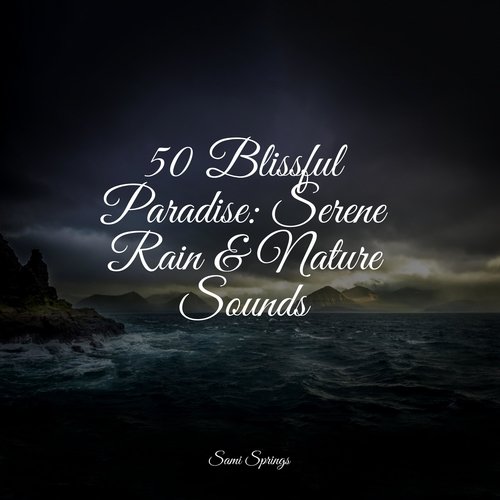Rain, Storm and Thunder cover art
