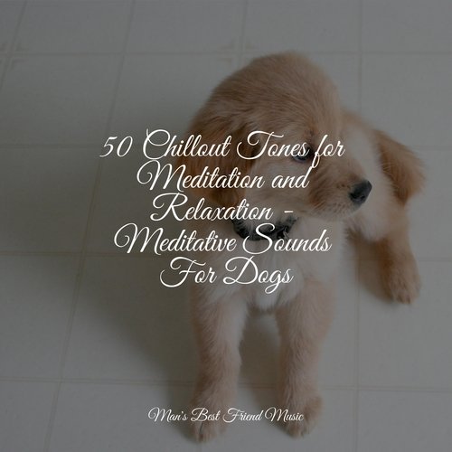 50 Chillout Tones for Meditation and Relaxation - Meditative Sounds For Dogs_poster_image