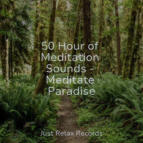 50 Hour of Meditation Sounds - Meditate Paradise_poster_image