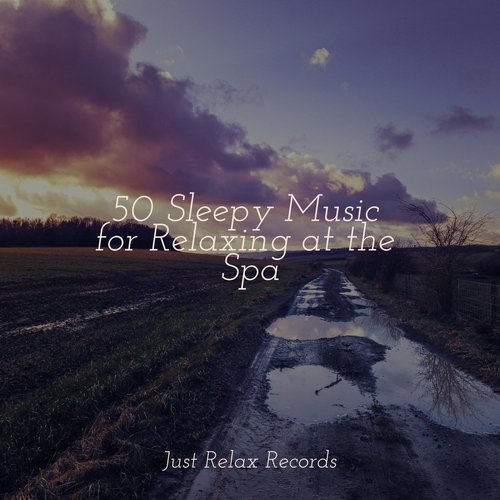 50 Sleepy Music for Relaxing at the Spa