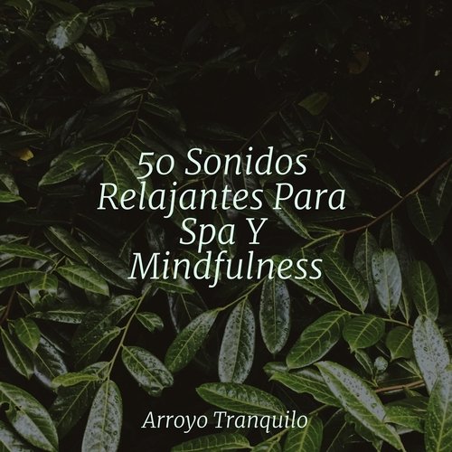 Refugio De Paz cover art