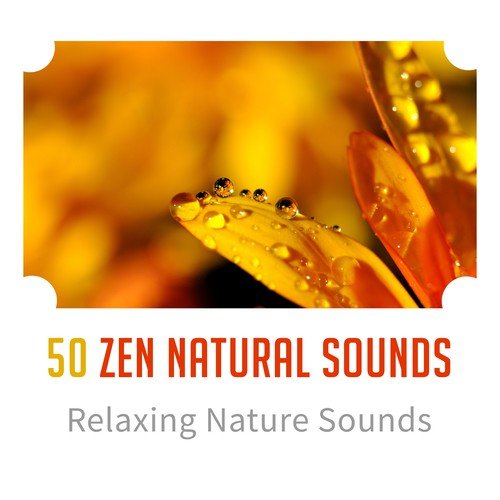 Zen Natural Sounds cover art