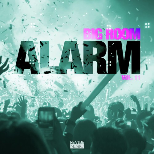 Big Room Alarm, Vol. 11