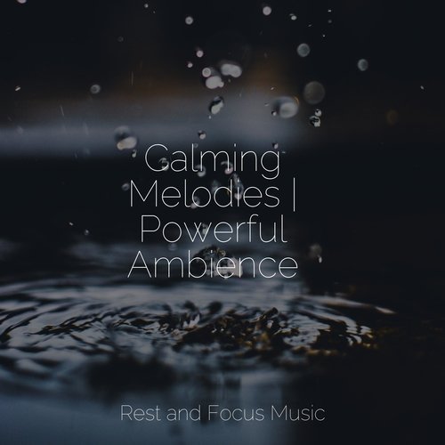 Calming Melodies | Powerful Ambience_poster_image