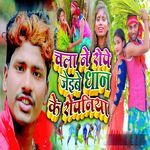 Chala Ne Rope Jeibe Dhan Ke Ropaniya