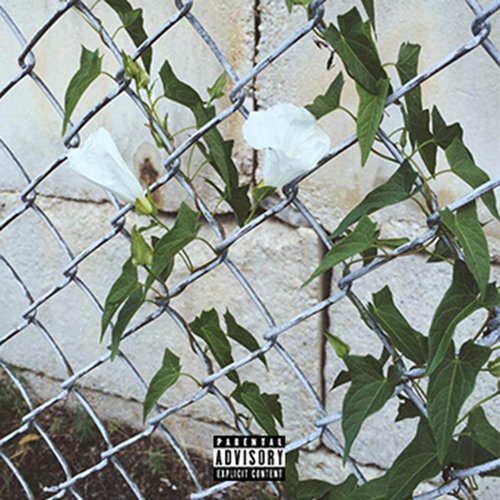 Champagne & Swill cover art