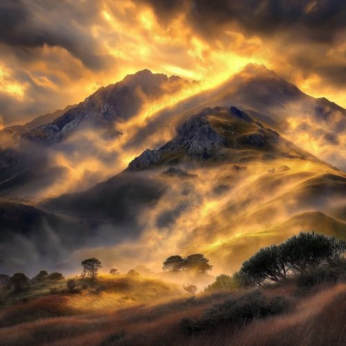Golden Sunset Waves (Forest)