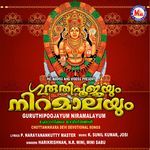 Makam Pirannu Ammathan