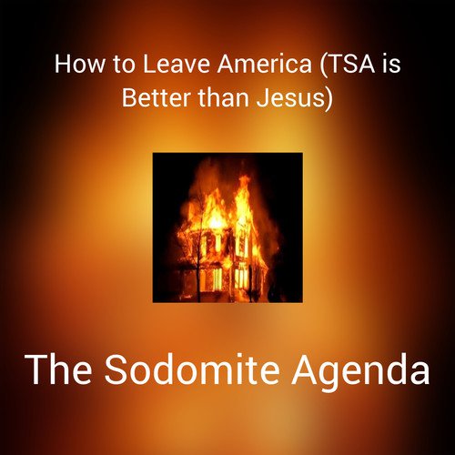 How to Leave America (TSA is Better than Jesus) (Film Version)