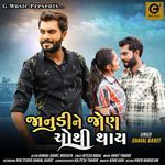 Janudi Ne Jon Chothi Thay