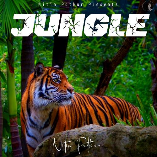 Jungle_poster_image