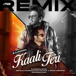 Kaali Teri (Remix)-Cj0gUxtmQ1Y