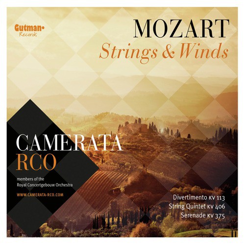 Quintet for 2 Violins, 2 Violas and Cello in C Minor, K. 406: III. Menuetto in Canone - Trio in Canone al rovescio