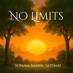 NO Limits