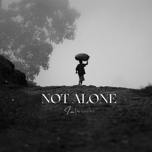 Not Alone_poster_image