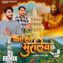 Pyari Lage Muraliya (Dj Remix)