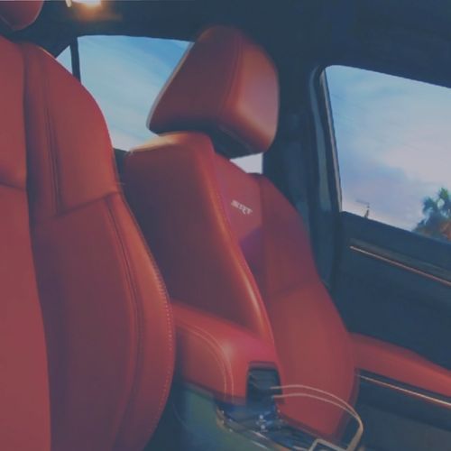 Red Guts Srt cover art
