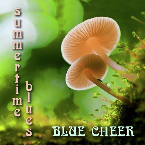 Summertime Blues_poster_image