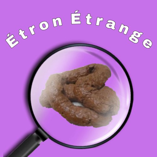 Étron Étrange_poster_image