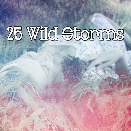 25 Wild Storms