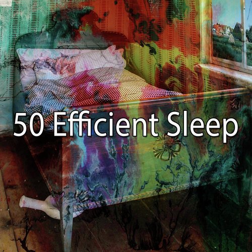 50 Efficient Sleep