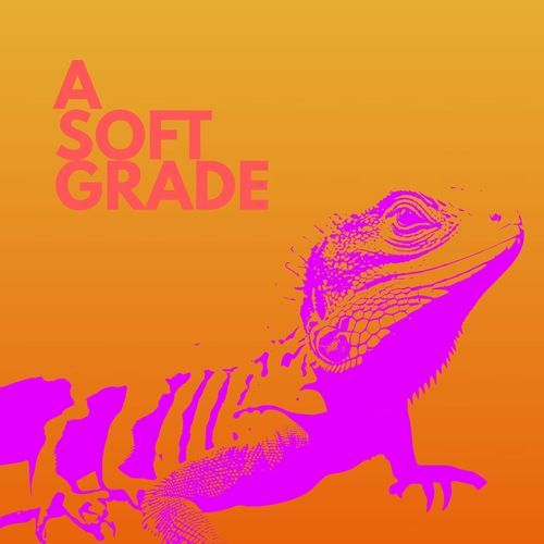 Turquoise Lounge cover art