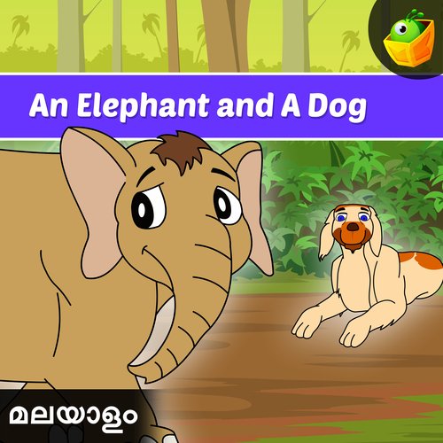 An Elephant And A Dog