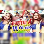 Anhariya Me Dunu Toch Bhajeto