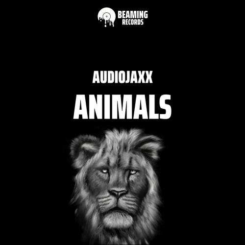 Audiojaxx