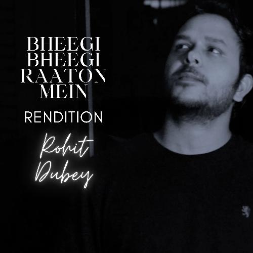 Bheegi Bheegi Raton mein (Rendition)