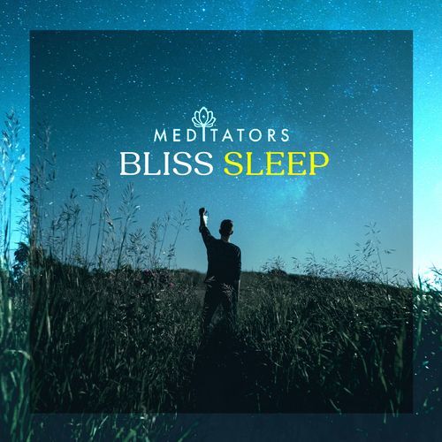 Bliss Sleep_poster_image